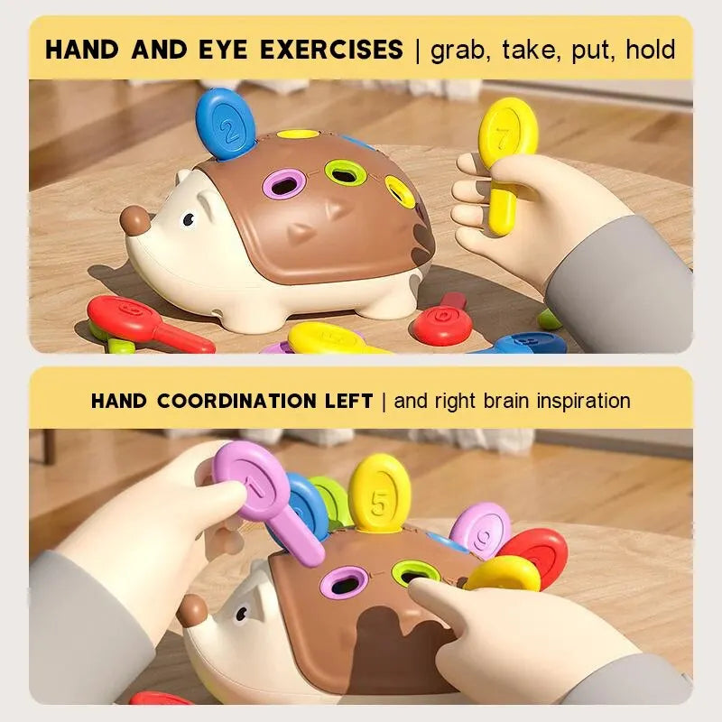 Egel Montessori Speelgoed